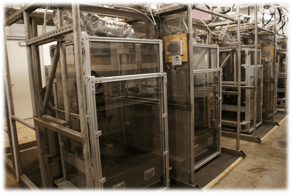 The Ruminant Emission Measurement System (REMS) supports research on the relationships between nutrition, genetics, and different management strategies, and their effects on beef cattle methane emissions.